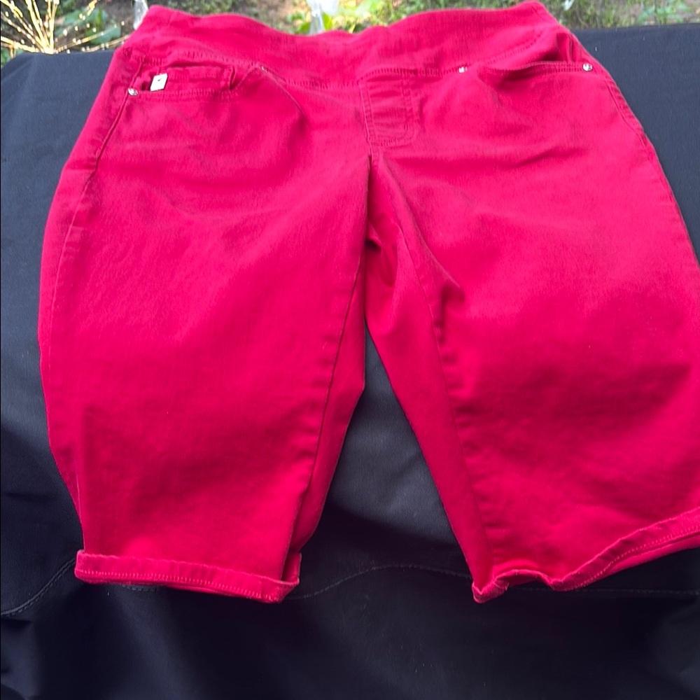 Belle by Kim Gravel Bold Red Pants